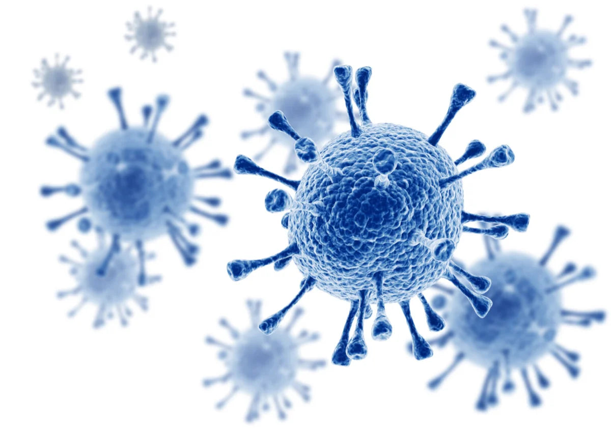 Influenza virus: understanding the different strains