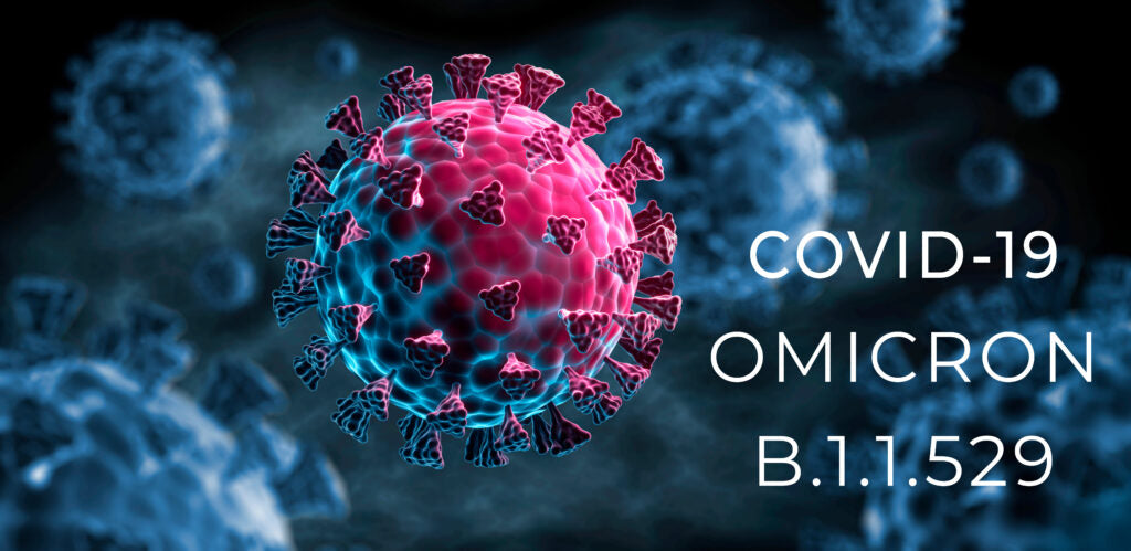 Omicron variant: analysis of the emerging variant